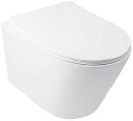 Qtap Swan безободковый с сидением Slim Soft-close QT16335178W